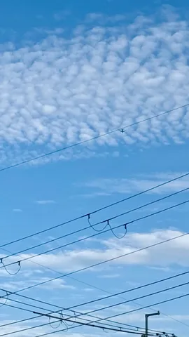 電線と飛行機雲、夏の空