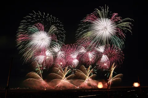 夜空に咲き誇る大輪の華