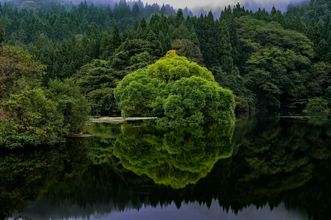 緑深き湖畔の静寂