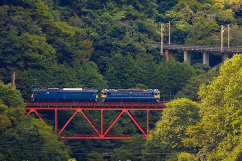 深緑に映える鉄道橋