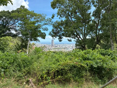 都市と木々のスカイライン