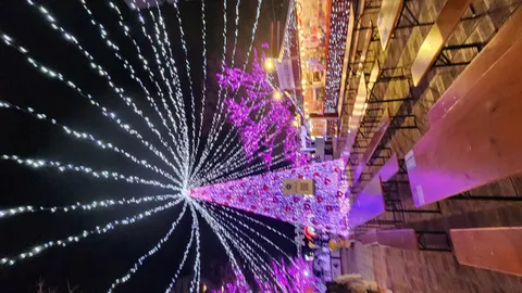 煌めく光が降り注ぐクリスマスの夜