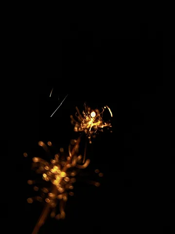闇夜に舞う黄金のきらめき