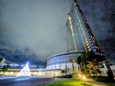 夜の高層と光る樹
