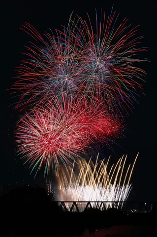 夜空を彩る花火の饗宴
