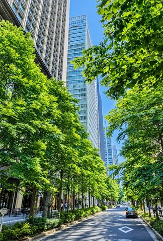 木漏れ日と高層ビルの道