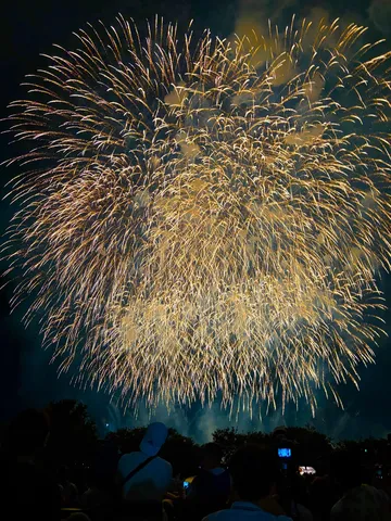 夜空に咲く金色の花
