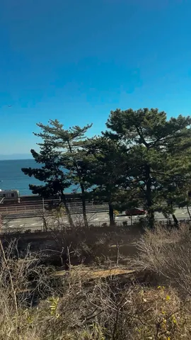 海沿いの小道と列車