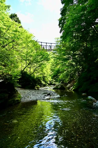 緑と水の吊り橋風景