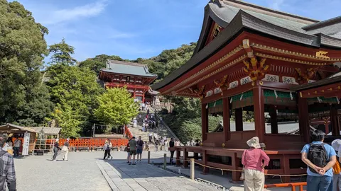 赤と木の温もりがつむぐ参道