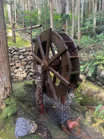 緑に包まれる水車の物語