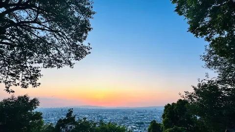 木漏れ日と街並みの夕暮れ