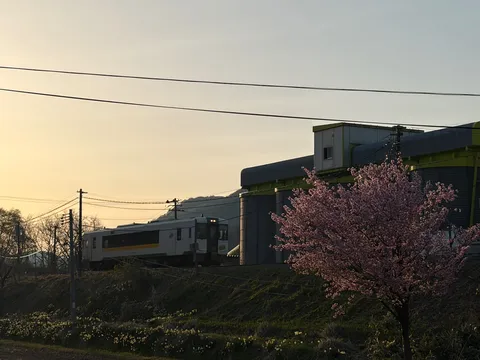 春色の夕景に列車の影