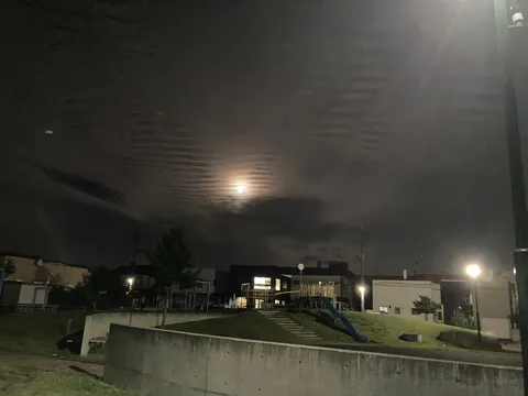 月光と遊具の夜風景