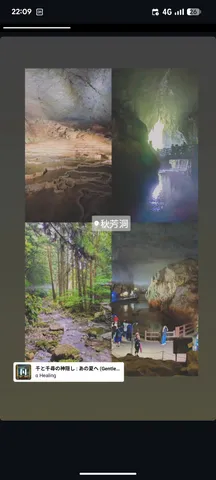 神秘的な洞窟と静かな森の風景