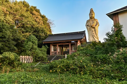 緑に包まれた巨仏と静謐な境内