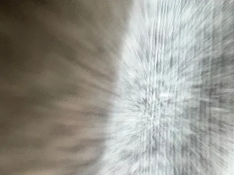 静寂と疾走の交差点