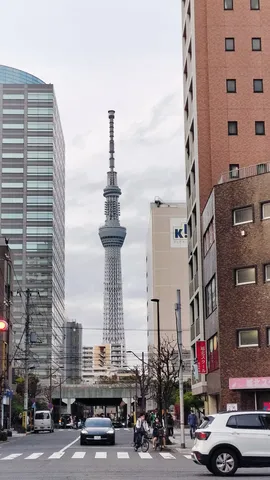 日常に溶け込むスカイツリー
