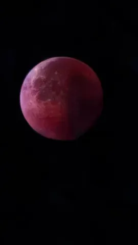 火星？それとも...,