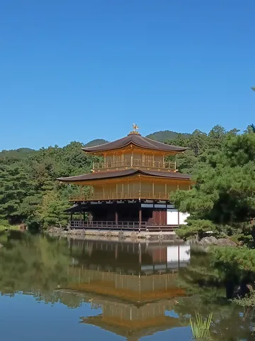 黄金の蓮、静寂の水鏡