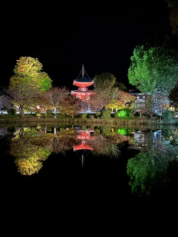 夜の水鏡に映る幻想的な五重塔