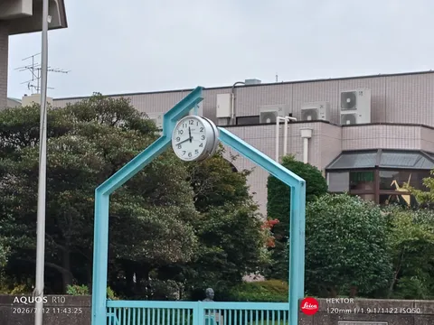 時を刻む、青い家