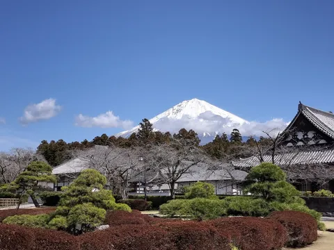 静寂に佇む富士と古刹