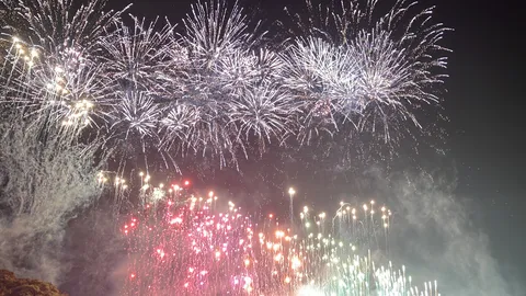 夜空に咲く華麗な光の饗宴