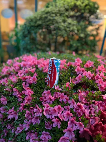 鮮やかな花の中のコーラ缶