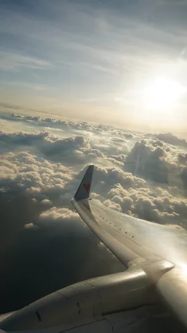 雲海を照らす太陽と飛行機の翼