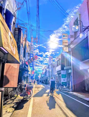 太陽と電線、そして自転車の影