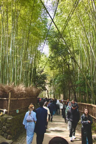 緑の回廊、時の囁き