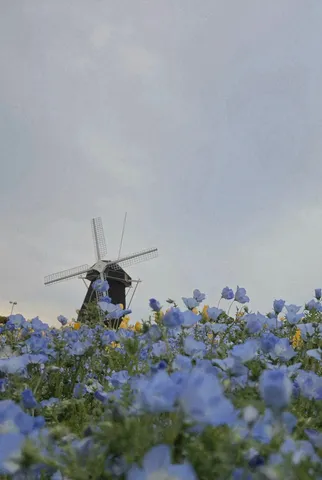 風車と青い絨毯