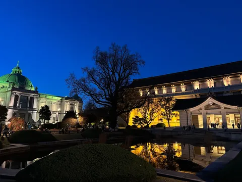 夜景に映る庭園と建築