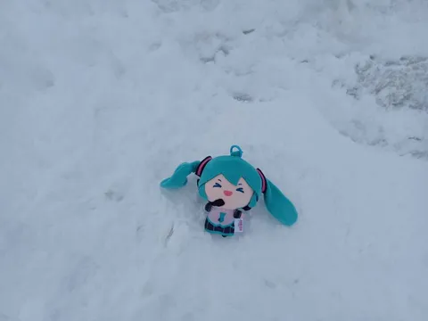雪の上の小さな笑顔
