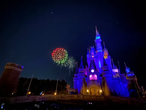 夜空を彩る城と花火