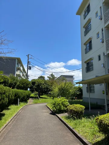 緑と青空、日常の並木道