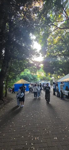 木漏れ日の回廊