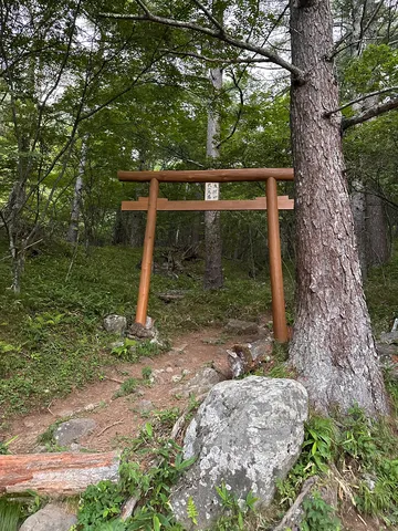 森に佇む、神秘的な鳥居