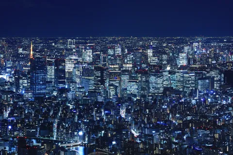 闇夜に咲く無数の灯り
