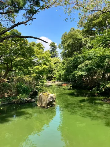 緑映える水面の静寂