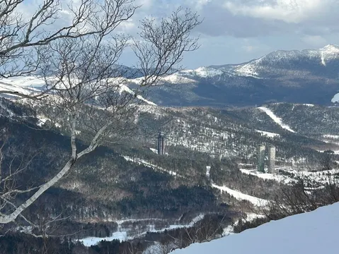 雪山と樹影の静かな眺め