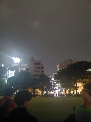 夜の公園、ぼんやりと灯る街