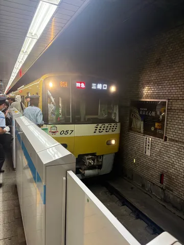 黄色い列車が放つ静寂