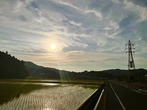 水田に輝く夕焼けの絶景