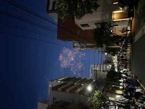 都会の夜空に咲く花火