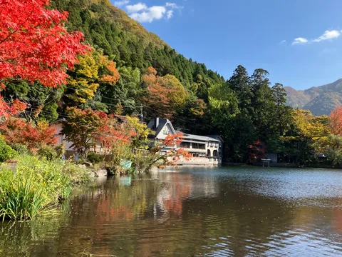 錦秋の湖畔、静寂の美
