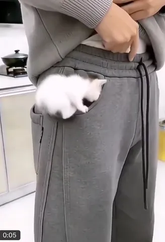 ポケットに、小さな相棒