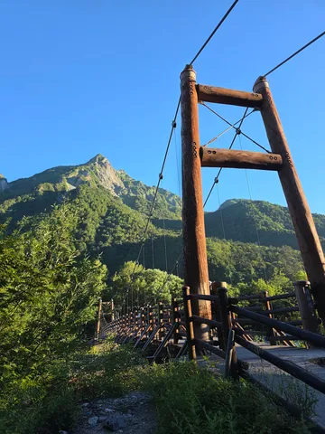 木漏れ日と清々しい山の空気