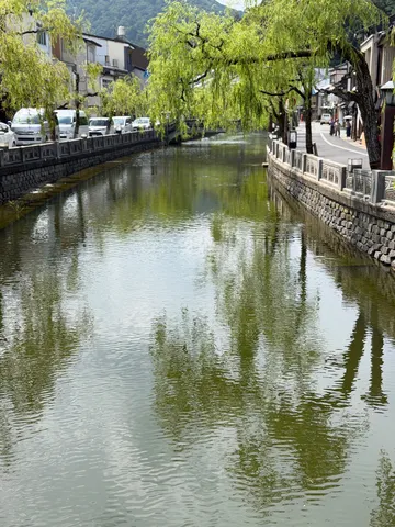 静寂を映す、川面に揺れる緑